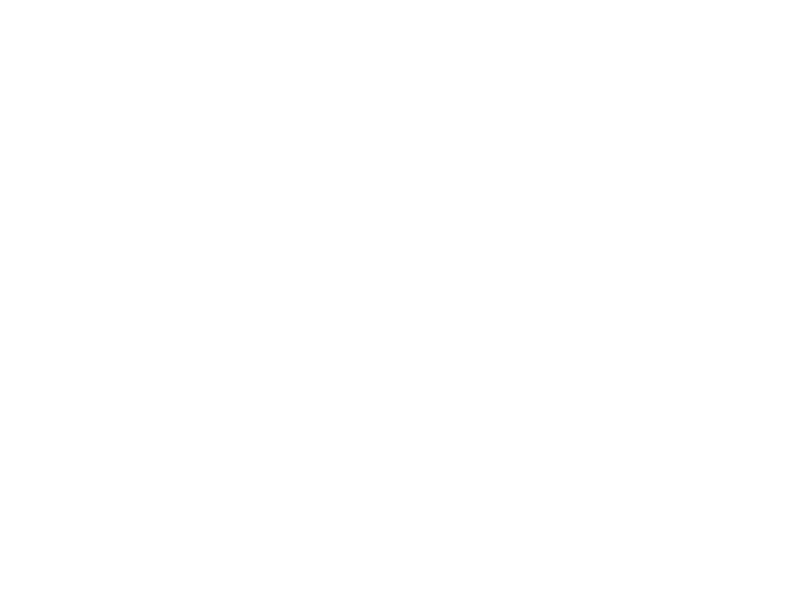 Logo Organização